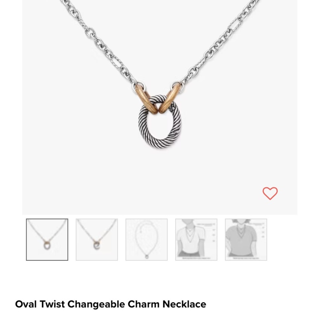 Two-Tone Oval Twist Changeable Charm Necklace 18”